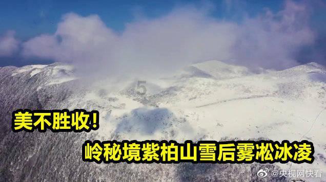 非常看好海南黎药发展前景