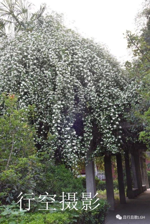 漫威蜘蛛侠