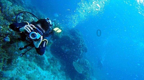 海盗寻宝记选关版