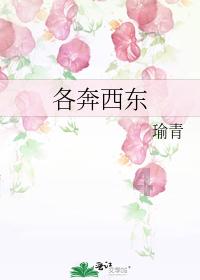 小猫钓鱼开船版最新版下载