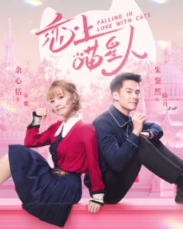 小狗救援行动选关版