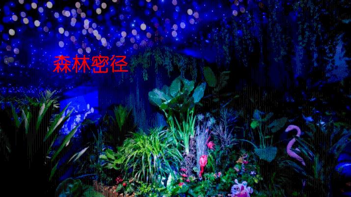 茂密丛林逃生